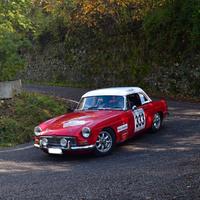 MG Altro modello - 1963