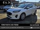 ford-fiesta-1-0-ecoboost-hybrid-125-cv-3-porte-v