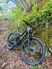 Specialized StumpJumper Carbon