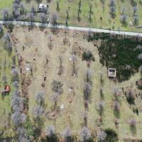 Terreno sulla strada provinciale Gallina - Armo