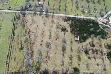 Terreno sulla strada provinciale Gallina - Armo