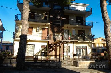 Negozio commerciale o uffici