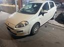 fiat-punto-1-3-mjt-ii-s-s-95-cv-5-porte-anno-2017