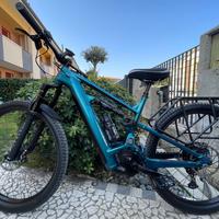 E-mountain bike
