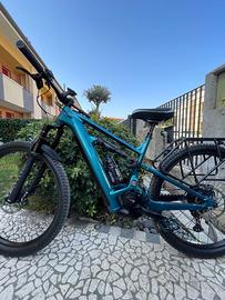 E-mountain bike