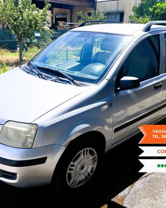 FIAT Panda 2� serie Panda 1.2 Dynamic Natural P...