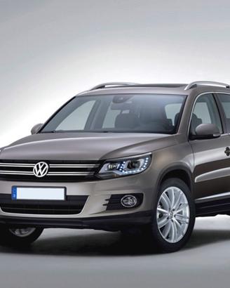 VOLKSWAGEN Tiguan 2.0 TDI 110CV Business Sport &