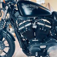 Harley-Davidson Sportster 883 Iron abs