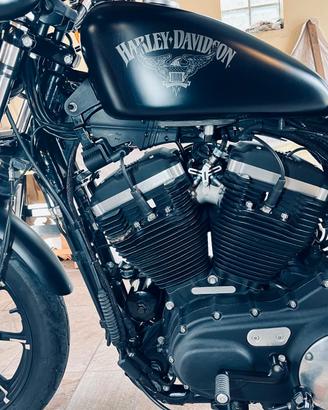 Harley-Davidson Sportster 883 Iron abs