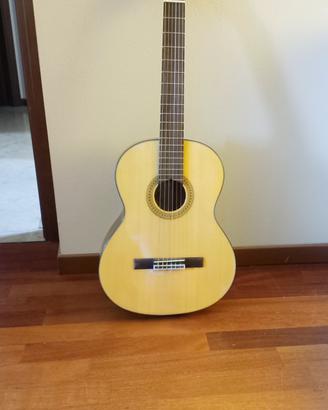 Chitarra 🎸