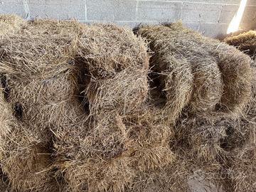 Balline fieno cavalli