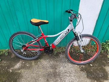 bici mtb raggazino