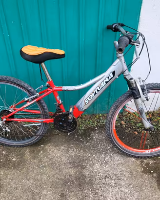 bici mtb raggazino