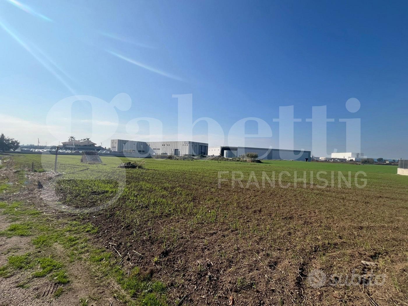 Terreno Agricolo Vitulazio [Cod. rif 3261429VCG] - Vista 4