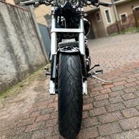 Suzuki VZ Intruder 800 - 2008