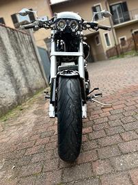 Suzuki VZ Intruder 800 - 2008