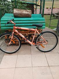 Mountain bike