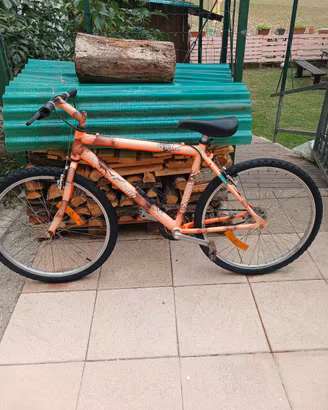 Mountain bike