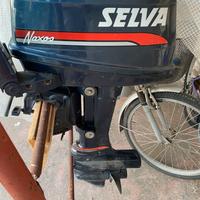 Motore Selva 15 Cv 2 tempi