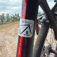 Specialized Roubaix