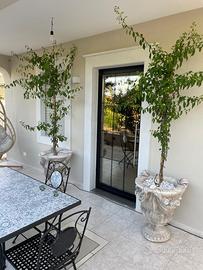 Villetta santa Maria del focallo