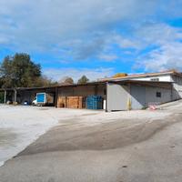 Capannone deposito + commerciale+ uffici