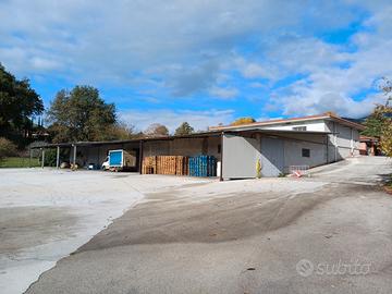 Capannone deposito + commerciale+ uffici