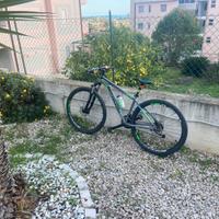 Bici Nottecchia