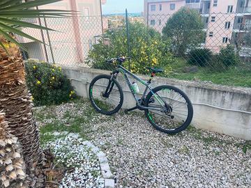 Bici Nottecchia