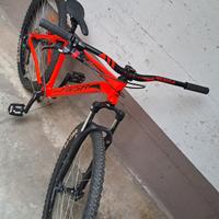 Wheelie bike MTB ruote 29"