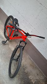 Wheelie bike MTB ruote 29"