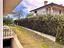 Immagine 11