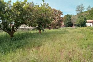 Pianura Via Vicinale Torciolano Rif.131T