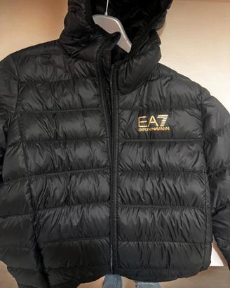 Piumini/Giacca  Emporio Armani  EA7