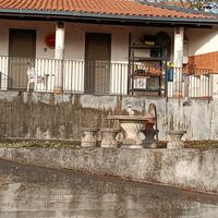 Toeletta pensione ed associazione per cani