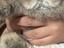Immagine 4