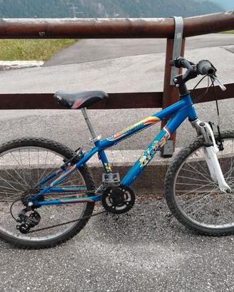 Bicicletta  mtb 