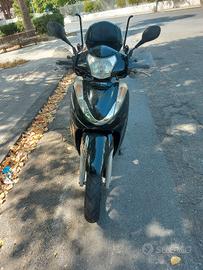 SH 300 ANNO 2008