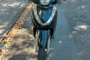 SH 300 ANNO 2008