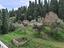 Immagine 21