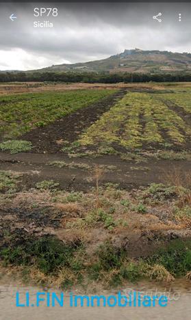 Terreno agricolo