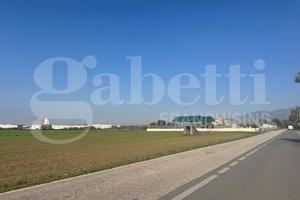 Terreno Agricolo Vitulazio [Cod. rif 3261429VCG]