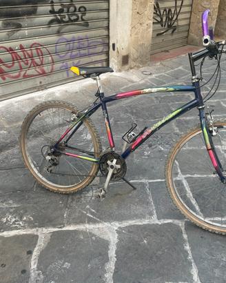 Bici Atala, mountain bike