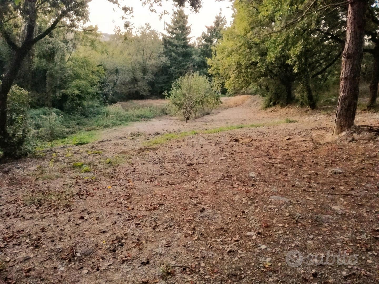 Vendita terreno rogliano (cs) - Vista 2