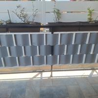 fascia frangivista