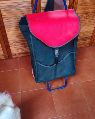 Carrello per la spesa