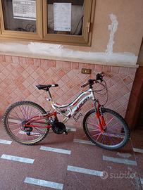 bici faema 24 