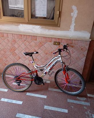 bici faema 24 