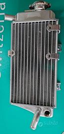 19010MEY671 Radiatore CRF450X