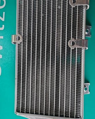 19010MEY671 Radiatore CRF450X